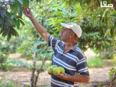 WhatsApp Image 2023-09-06 at 11.29.52 AM (1)