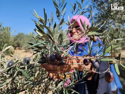 WhatsApp Image 2023-09-30 at 11.23.22 AM