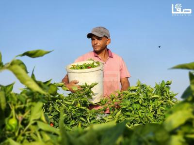 WhatsApp Image 2023-09-09 at 9.35.53 AM (2)