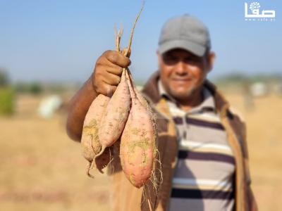 WhatsApp Image 2023-09-06 at 11.28.21 AM