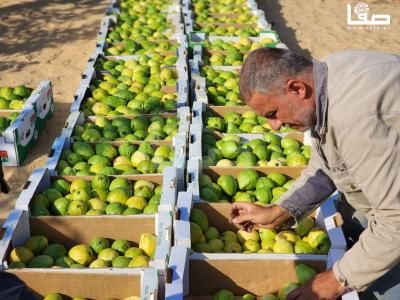 WhatsApp Image 2023-09-06 at 11.29.46 AM