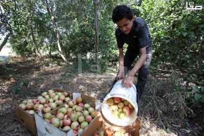 030923_GAZA_OSH_00 (32)