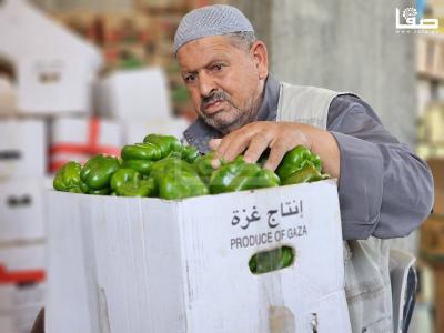 WhatsApp Image 2023-09-05 at 12.18.28 PM (1)