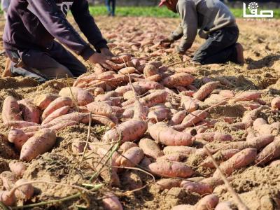 WhatsApp Image 2023-09-06 at 11.28.19 AM