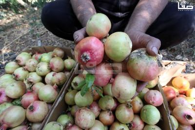 030923_GAZA_OSH_00 (33)