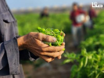 WhatsApp Image 2023-09-09 at 9.35.55 AM (1)