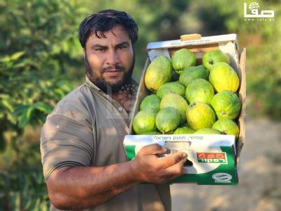 WhatsApp Image 2023-09-06 at 11.29.53 AM (1)