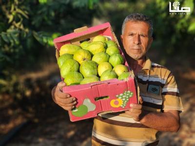 WhatsApp Image 2023-09-06 at 11.29.53 AM (2)