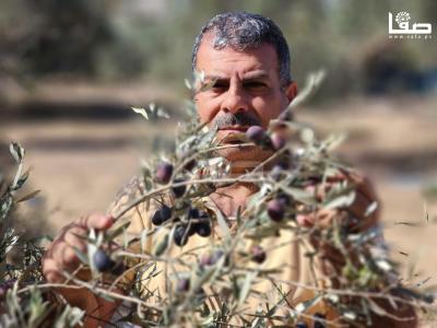 WhatsApp Image 2023-09-30 at 11.23.39 AM