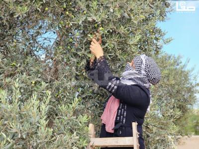 WhatsApp Image 2023-10-05 at 12.00.14 PM (1)