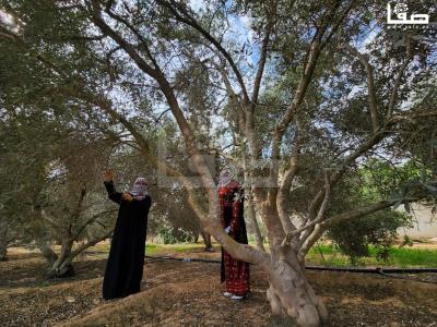 WhatsApp Image 2023-10-05 at 12.00.14 PM