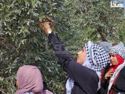 WhatsApp Image 2023-10-05 at 12.00.03 PM