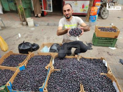 WhatsApp Image 2023-10-04 at 11.21.42 AM