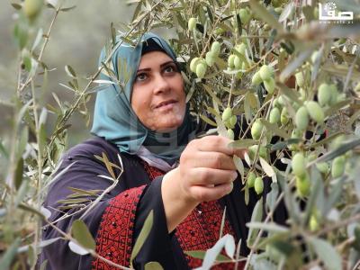 WhatsApp Image 2023-10-05 at 12.00.16 PM (2)