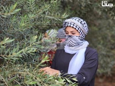 WhatsApp Image 2023-10-05 at 12.00.15 PM (1)