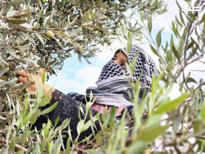 WhatsApp Image 2023-10-05 at 12.00.15 PM