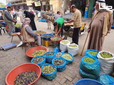 WhatsApp Image 2023-10-04 at 11.22.17 AM