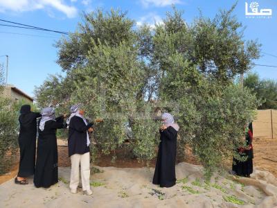 WhatsApp Image 2023-10-05 at 12.00.17 PM (2)