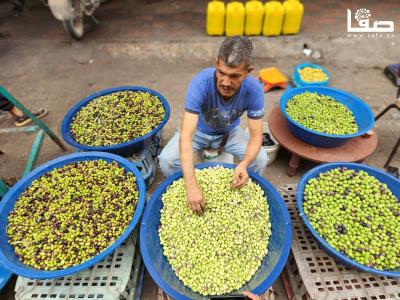 WhatsApp Image 2023-10-04 at 11.21.22 AM