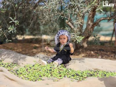 WhatsApp Image 2023-10-05 at 12.00.05 PM