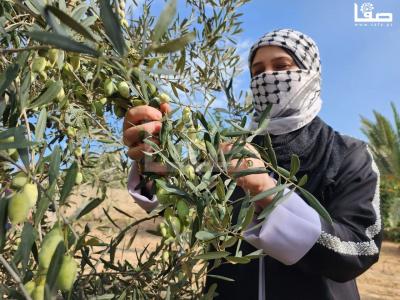 WhatsApp Image 2023-10-05 at 12.00.17 PM