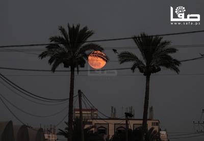 210624_Dair_El-Balah_APA_AH_00(2)