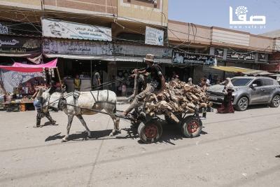 300624_Dair_El-Balah_OSH_(23)