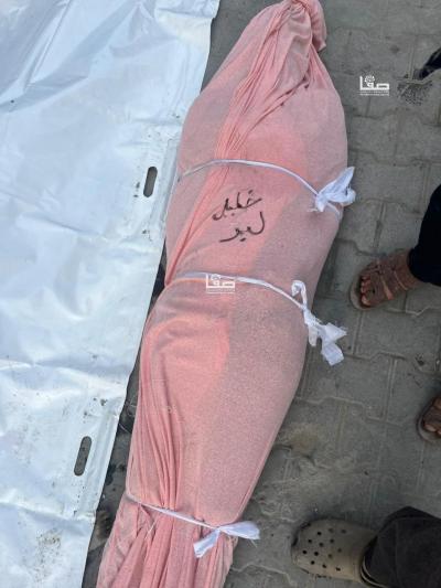 photo_٢٠٢٤-١١-٢١_٠٩-١٨-٢٨ (4)