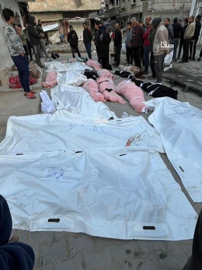 photo_٢٠٢٤-١١-٢١_٠٩-١٨-٢٨ (2)