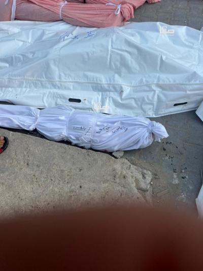 photo_٢٠٢٤-١١-٢١_٠٩-١٨-٢٨ (3)