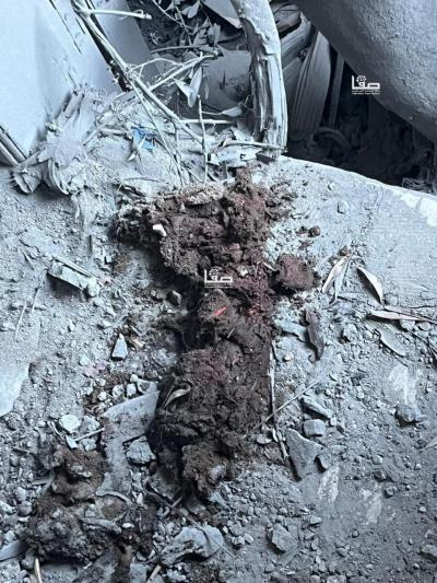 photo_٢٠٢٤-١١-٢١_٠٩-١٨-٢٨