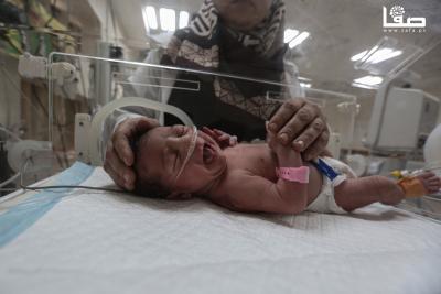 091224_Dair_AlBalah_OSH_3_00(1)