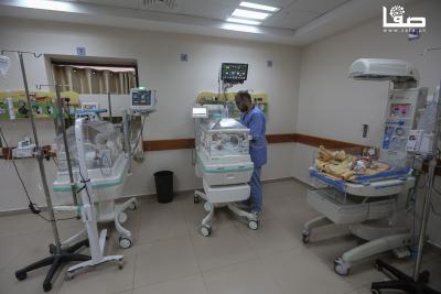 091224_Dair_AlBalah_OSH_3_00 (28)