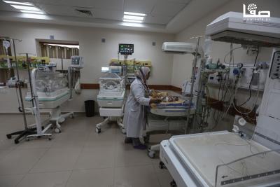 091224_Dair_AlBalah_OSH_3_00 (12)