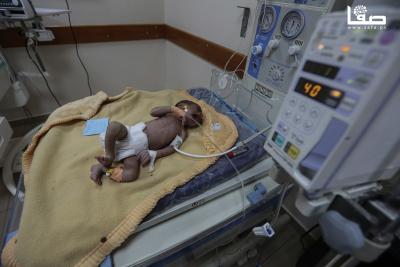 091224_Dair_AlBalah_OSH_3_00 (11)