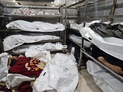 WhatsApp Image 2024-12-04 at 9.01.21 PM