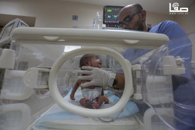 091224_Dair_AlBalah_OSH_3_00 (27)