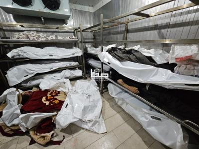 WhatsApp Image 2024-12-04 at 9.01.22 PM