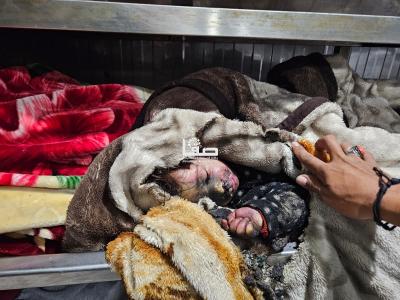 WhatsApp Image 2024-12-04 at 9.01.18 PM