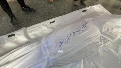 WhatsApp Image 2025-01-14 at 10.15.25 AM