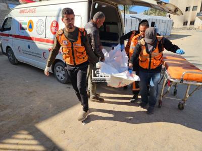 photo_2025-01-03_14-25-34