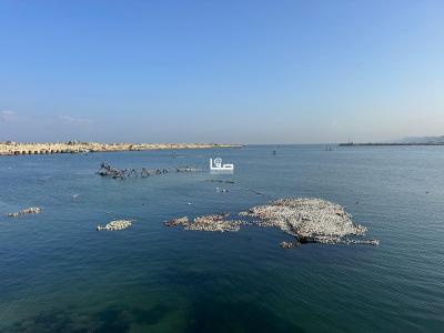 WhatsApp Image 2025-02-17 at 12.05.09 PM