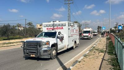 WhatsApp Image 2025-02-17 at 11.55.31 AM