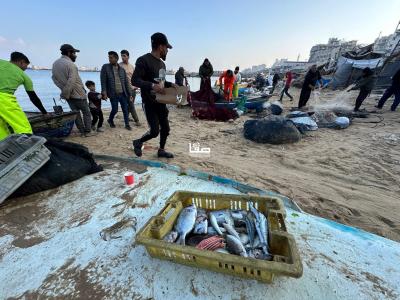 WhatsApp Image 2025-02-17 at 12.05.06 PM