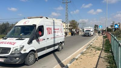 WhatsApp Image 2025-02-17 at 11.55.29 AM