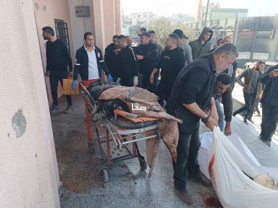 WhatsApp Image 2025-03-15 at 2.50.16 PM