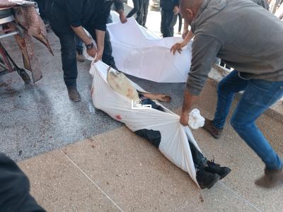 WhatsApp Image 2025-03-15 at 2.50.17 PM (1)