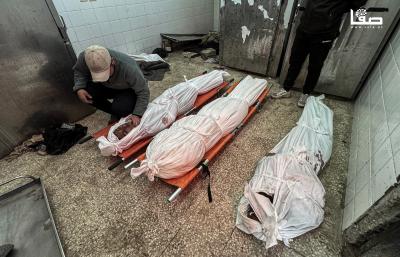 110325_Dair_EL-Balah_STR_00(2)