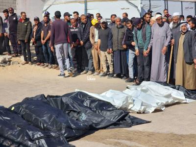 photo_2025-04-17_01-11-03