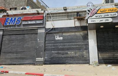 photo_2025-04-07_11-47-45